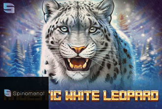 Majestic White Leopard